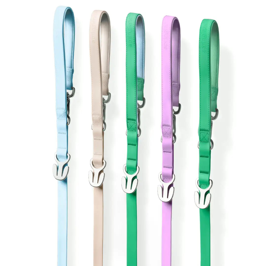 Waterproof 5ft Dog Leash Padded