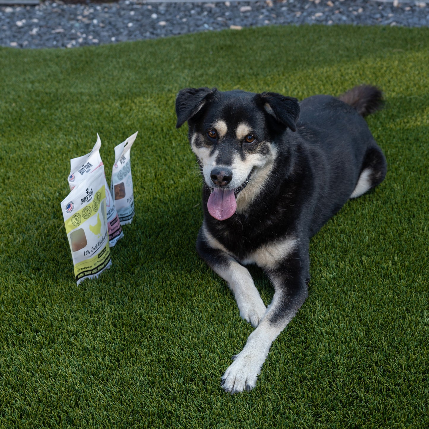 Beef Heart Treats for Dogs